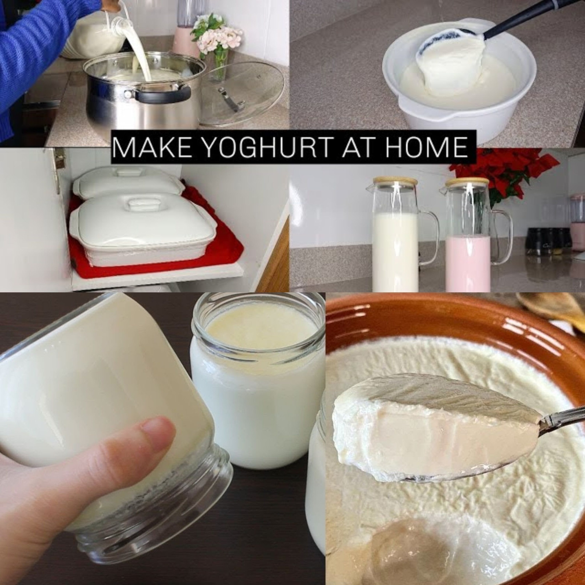 The Secret About Probiotics In Silk Yogurt Revealed - tfrbwqw